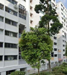 Blk 107 Teck Whye Lane (Choa Chu Kang), HDB Executive #477613861
